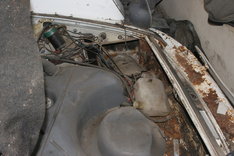 RS1247-trunk-3-800.jpg