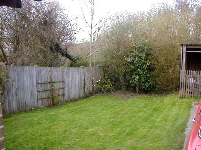 garden.jpg